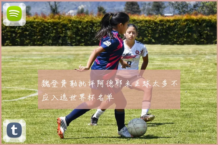 魏登费勒批评阿德耶米丢球太多不应入选世界杯名单