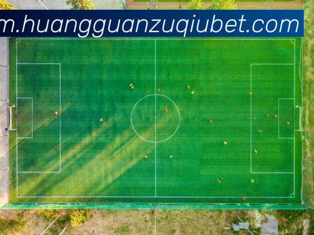 维金斯半场表现抢眼贡献10分5篮板3助攻正负值高达22助球队领先